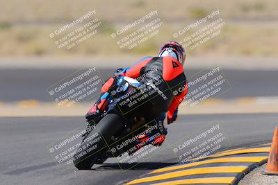 media/Oct-08-2022-SoCal Trackdays (Sat) [[1fc3beec89]]/Turn 11 Backside (1145am)/